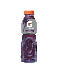 Gatorade Grape Sports Drink | 500ml